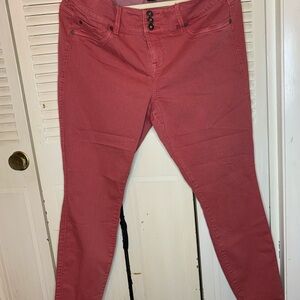 Torrid Women's Straight Leg Jeans in Pink